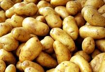 त्योहारों के बीच आलू हुआ दुश्वार, लोगों को रुला रहा है प्याज का दाम