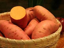 Amazing Reasons How Sweet Potatoes Help In Weight Loss Omg OMG! शकरकंदी खाकर भी कर सकते हैं वजन कम