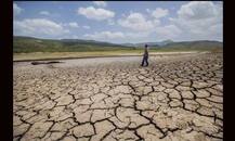 महाराष्ट्र: कर्ज के कारण किसान ने की खुदकुशी, लेकिन पुलिस ने दर्ज किया \'अप्राकृतिक मौत\' का मामला