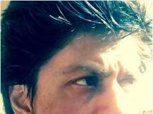 सुबह की उड़ान के लिए तैयार नहीं शाहरुख