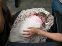 जीका वायरस इस तरह रोकता है भ्रूण के मस्तिष्क का विकास