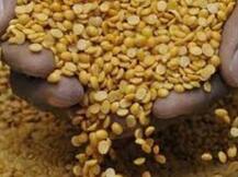 अरहर दाल की महंगाई से मिलेगी राहत, 120 रुपये प्रति किलो से ज्यादा ना होने देने का आदेश