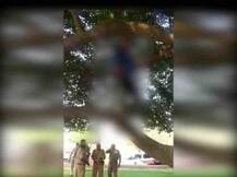 दिल्ली: VVIP इलाके विजय चौक पर पेड़ से लटका मिला मध्य प्रदेश के युवक का शव