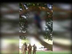 दिल्ली: VVIP इलाके विजय चौक पर पेड़ से लटका मिला मध्य प्रदेश के युवक का शव