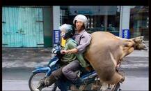 चीन के लोग भी कमाल के होते हैं!