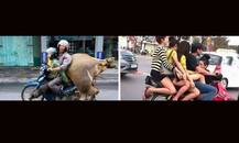 चीन के लोग भी कमाल के होते हैं!