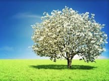 कैसे बन सकते हैं आप भी करोड़पति, जानें करोड़पति बनने के मंत्र