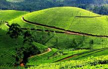 IN PICS: केरल के इन 5 जगहों के आगे फेल हैं अफ्रिका के जंगल