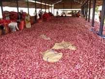 1 किलो प्याज के लिये मिले 5 पैसे, प्याज फेंकने पर मजबूर किसान