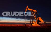 सऊदी अरब से तेल मंगाना और कम करेगी सरकार, तेल कंपनियों को डील की समीक्षा करने का