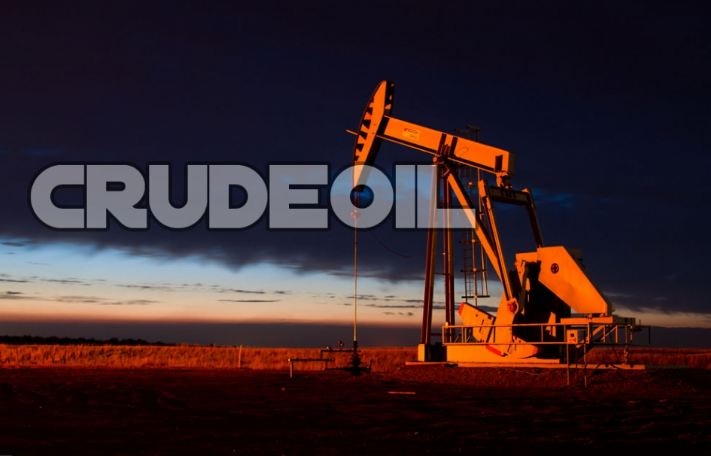 Government asks  PSU oil companies to review Saudi Oil deals सऊदी अरब से तेल मंगाना और कम करेगी सरकार, तेल कंपनियों को डील की समीक्षा करने का