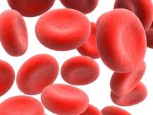 केला ही नहीं \'केले का फूल\' खाना भी है फायदेमंद! 