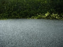 उत्तर प्रदेश में मानसून सक्रिय: आगे होगी भारी वर्षा