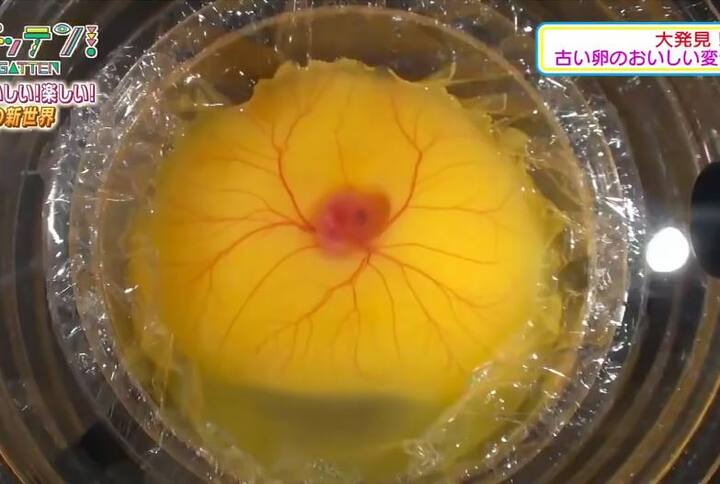 इसके बाद प्लास्टिक के कप में रखा ब्लास्टोडर्म लगातार बढ़ने लगा. एक हफ्ते में ब्लास्टोडर्म पहले से काफी बड़ा हो गया था.