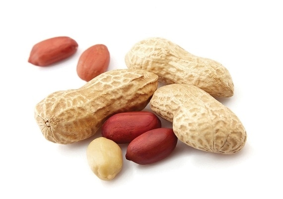 Health tips eating peanuts causes harm know Health Tips: मूंगफली खाने से होता है नुकसान, जान लीजिए