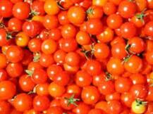 क्यों आसमान पर पहुंचे टमाटर के दाम, जानें दाम चढ़ने की सच्चाई