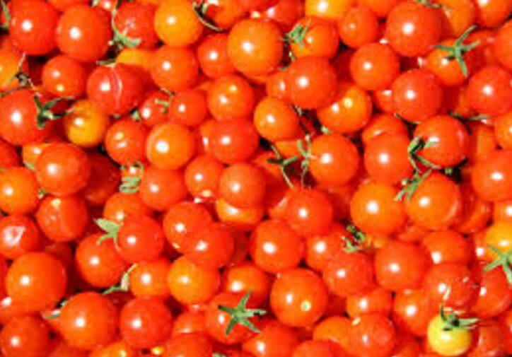 बारिश की वजह से बढ़ा टमाटर का भाव, दिल्ली-एनसीआर में 100 रुपये किलो पहुंची कीमत Tomato Prices Soar To Rs100 Per Kg In Delhi Ncr बारिश की वजह से बढ़ा टमाटर का भाव, दिल्ली-एनसीआर में 100 रुपये किलो पहुंची कीमत