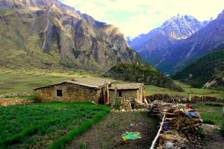 आसपास बाजार ना होने की स्थिति में लोग गांव के बाहर खाली पड़े इस मैदान में खेती कर सब्जियां उगाते हैं.