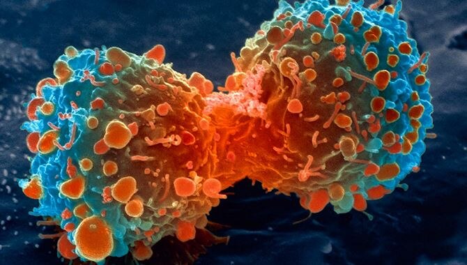 anti cancer protein that prevent spread cancer cells in liver खुशखबरी! लीवर कैंसर को रोकने वाले प्रोटीन की हुई खोज