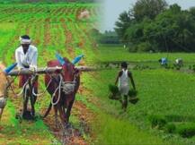 किसानों के लिए खुशखबरीः लघु अवधि फसल लोन की ब्याज दरें घटीं