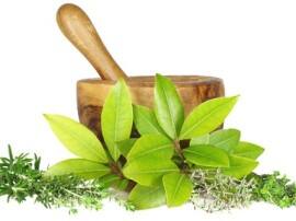 Home Remedies And Ayurvedic Treatment For Dengue Fever डेंगू के लक्षण दिखते ही अपनाएं ये घरेलू नुस्खें!