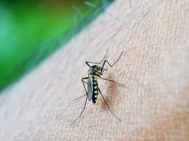 How To Avoid Dengue Fever In Monsoon बरसात के मौसम में जरा सी सावधानी बचा सकती है डेंगू से!