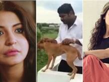 कुत्ते को छत से फेंकना 'मूर्खतापूर्ण': अनुष्का, आलिया