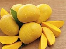 मिठाई पर भारी पड़ रहा सस्ता आम, बना आम लोगों की पसंद