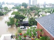 मुरादाबाद: रातभर हुई मूसलाधार बारिश से बाढ़ जैसे हालात, लोग घरों में कैद