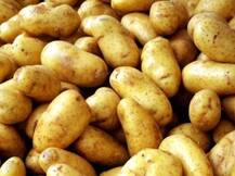 सरकार ने आलू पर 360 डॉलर प्रति टन एक्सपोर्ट ड्यूटी लगाई