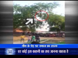 News वायरल सचः क्या है एक औरत के पेड़ पर चढ़कर नमाज पढ़ने के वीडियो की सच्चाई ?