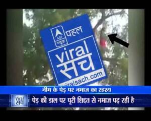 Viral tree par namaz 5