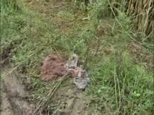 'बुलंदशहर गैंग रेप केस से पूरी यूपी आहत'