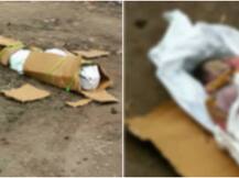 झांसी: महिला की निर्वस्त्र लाश मिलने से इलाके में दहशत, गैंगरेप के बाद हत्या की आशंका!