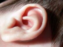 सुनने में मददगार मस्तिष्क के हिस्से की पहचान हुई