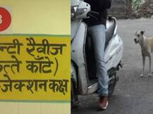 आगरा में आवारा कुत्तों का आतंक, हर 10वें मिनट एक शख्स होता है इसका 'शिकार'