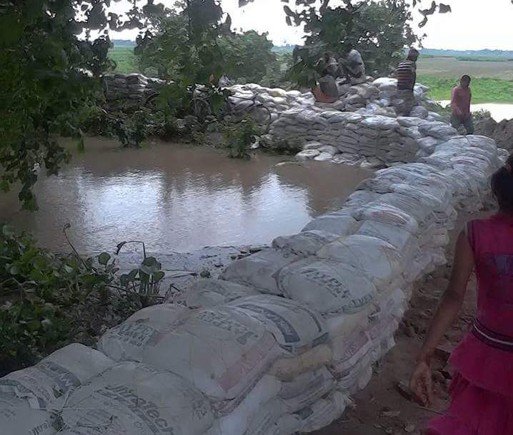 37ca2119-125a-4fc4-aff8-bf6daca03b38