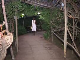 News वृंदावन का रहस्य लोक, निधिवन में आज भी गोपियों के साथ रासलीला करते हैं कान्हा!