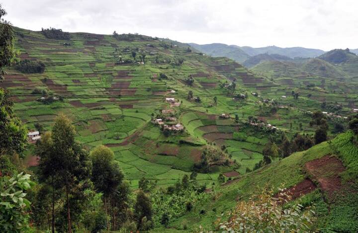 यूगांडा जाने के लिए भी आपको किसी भी तरह के VISA झंझट में नहीं पड़ना है. यूगांडा एक सुंदर देश है. इस देश में हरियाली की भी कोई कमी नहीं है.