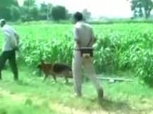 हरियाणा: घर में घुसकर मां-बाप की हत्या के बाद दो नाबालिगों से गैंगरेप