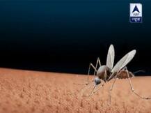 डेंगू के बाद आया चिकनगुनिया, एक मच्छर ने 'राजधानी' को हिलाया