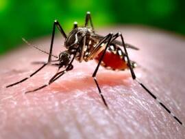 Myths And Facts About Dengue डेंगू से जुड़े इन मिथ्स पर कहीं आप भी तो विश्वास नहीं करते... !