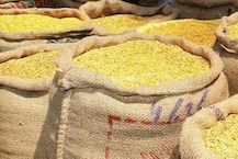 अब \'गलेगी\' दाल, भारतीय वैज्ञानिकों ने इजाद की अरहर की नई किस्म