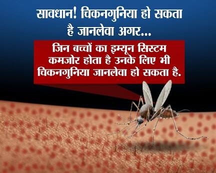  बच्चों का इम्यून सिस्टम कमजोर होता है तो ऐसे में इन्हें भी चिकगुनिया से जान का जोखिम बना रहता है.