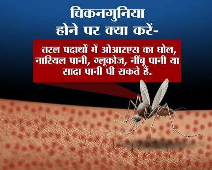 तरल पदार्थों में ओआरएस का घोल, नारियल पानी, ग्लूकोज, नींबू पानी या सादा पानी पी सकते हैं.