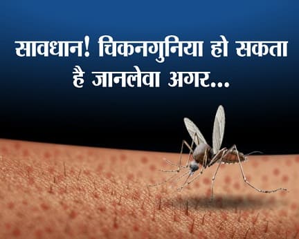 नईदिल्‍लीः अभी तक डेंगू और मलेरिया को ही देश में जानलेवा माना जा रहा था लेकिन कल ही राजधानी दिल्ली में चिकनगुनिया से मौत के तीन मामले सामने आए हैं. ऐसे में सवाल उठता है कि आखिर चिकनगुनिया किन लोगों के लिए जानलेवा हो सकता है? डॉक्टर्स द्वारा एबीपीन्यू्ज को जानकारी दी गई के मुताबिक, बच्चों और बुजुर्गों में चिकनगुनिया जानलेवा हो सकता है. इसके अलावा कई और कारण हैं जैसे-