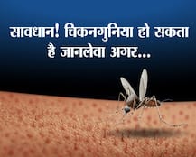 सावधान! चिकनगुनिया हो सकता है जानलेवा अगर...