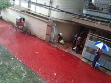 बारिश में मिला खून और खून की नदियों में तब्दील हो गईं बांग्लादेश की गलियां!