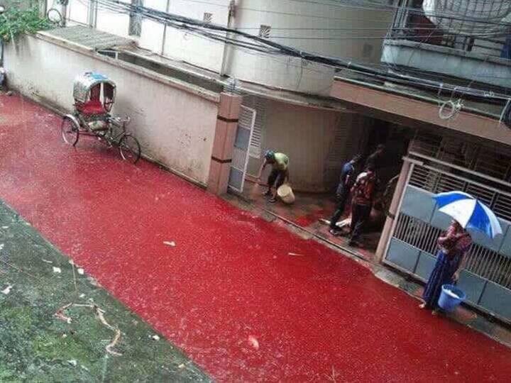 भारत में सोशल मीडिया पर इसे लेकर बीते मंगलवार को भारी बहस हुई और मिट्टी का बकरा जैसे ट्रेंड्स लगातार टॉप पर बने रहे. अब बात करते हैं इन तस्वीरों की जो पड़ोसी देश बांग्लादेश की राजधानी ढाका के लोगों ने सोशल मीडिया पर शेयर की हैं.
