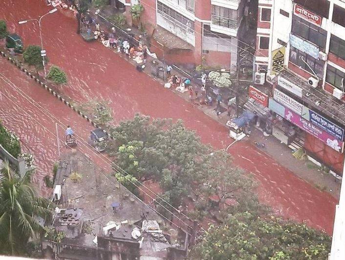 शहर में 1000 से ज़्यादा कुर्बानी की जगहें होने के बावजूद लोगों ने अपनी सुविधा की वजह से जानवरों की कुर्बानी शहर की उन गलियों में दी जहां वे रहते हैं. इसकी वजह से देखते ही देखते सड़कों पर काफी खून जमा हो गया और मंज़र ऐसा हो गया कि अच्छे-अच्छे सकते में आ गए. 